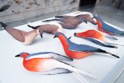 DanielleKunkel_ByeByeBirdies-wall2