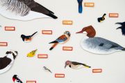 DanielleKunkel_ByeByeBirdies-wall3