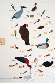 DanielleKunkel_ByeByeBirdies-wall4