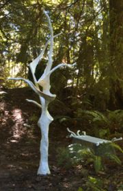 Dreaming Tree