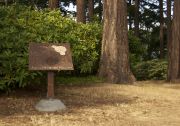 rhody-in-situ-wead_