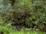 lumen-naturae-forest-60