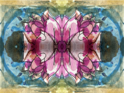 WEAD-Benyshek-Le-Origine-du-Monde