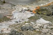 midway_geyser_2_june_3