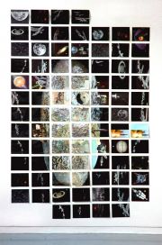 wead-365-days-boat-paddling-up