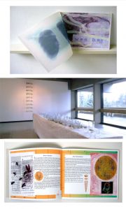 wead-under-rainbow-book