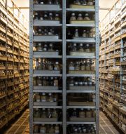 Seed Vault Kuban Experimental Station Russia