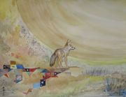 coyote-wind