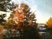 journey-sustainable-travel