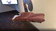 HoverlayAR_Balch_Rest_KMeninnoPhoto