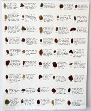 Icelandic-Pigments-2022-editedjpg