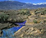 Intervention at Bishop Tuff