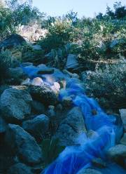 Rivulet at Parker Creek