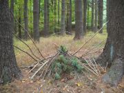 tree shrine