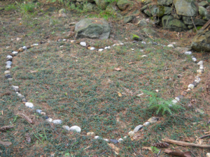 Vine and Stone Heart