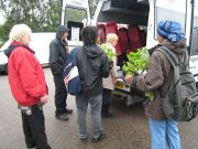 wholsale-plant-auction-visit