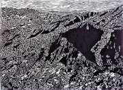 Guadalupe del Valle, PLATANAR VOLCANO, xylography, 40 x 50 cm. 2018