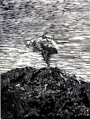 Guadalupe del Valle, TURRIALBA VOLCANO, xylography, 50 x 40 cm. 2018