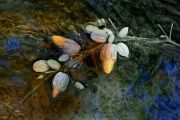 3_orange_bulbs_6x4_120dpi