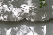 IMG_6201_white-Canvas_gray2