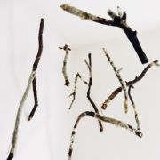 A9C226BB-BE07-407A-9202-72253B5F4DC7