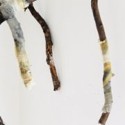 E6DAAE86-526F-40D0-AD5E-A51624E9BF8F