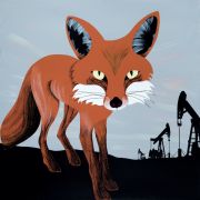 2021_FoxSignalHill_M_sm