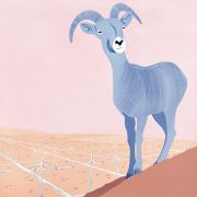 2021_PalmSprings_M_sm