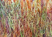 Prairie-Grasses-I-72