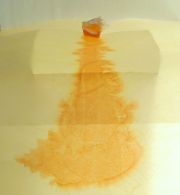 Mollusc Bleed No.2. 2016. watercolour, paper, wax, sea shell. 50x46x46cm.