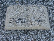 05-Barnacle-Book-II-camouflaged