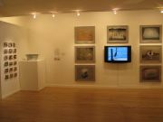 9-basia_irland-installation-in-gallery