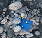 Stones-Throw-092-copy