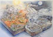 Carbon Footprint
