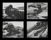 Weigel_IcarusWashedAshore