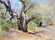 Oak and Bridge