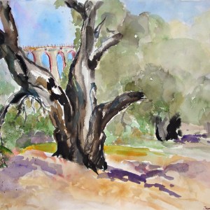Oak and Bridge