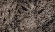 1_Turbulent-Margins_04