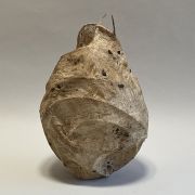 chrysalis.5