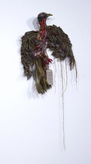 Julia-Feldman-Passenger-pigeon-Extinct