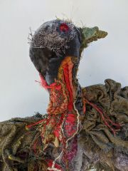 Julia-Feldman_detail-Passanger-Pigeon-head