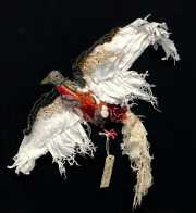 Julia_Feldman_Unclipped_Wings