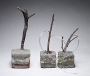 The-future-of-trees_searching-for-water