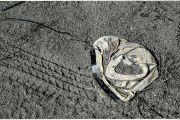 mans-underpants-BLM-land