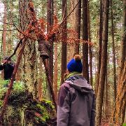 Forest_puppet_Moose-and-man