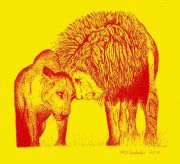 Lion-023
