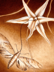 Screen Shot 2017-09-28 at 9.56.14 AM