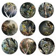 1.-Katherine-Boland_Mangrove-Chronicles