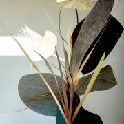 5.-Where-There_s-Still-Life-No-25