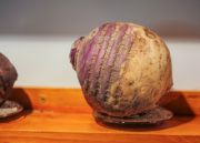 Katerie-Gladdys_rutabaga-2